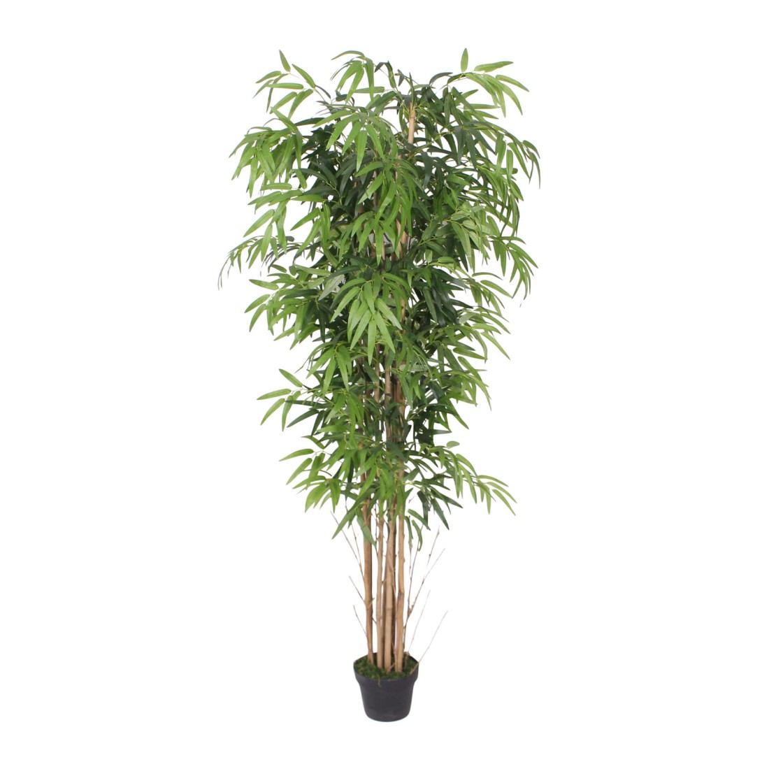 Kauda - Pianta decorativa di bambù con foglie artificiali H 180 cm