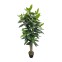 Kori - Artificial cassia plant for...