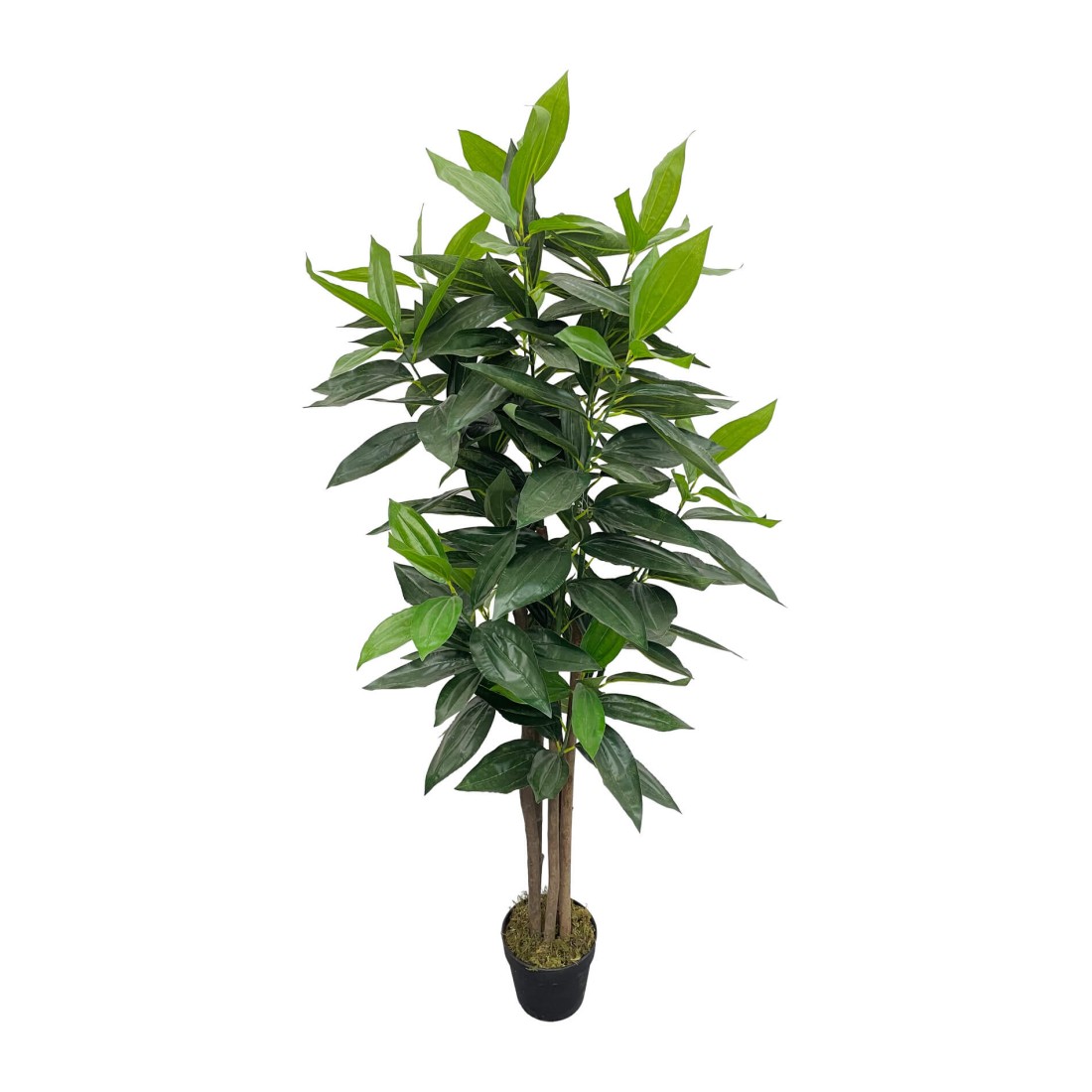 Kori - Artificial cassia plant for home or balcony decoration