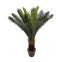 Siyar - Decorative artificial Cycas...