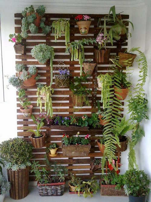 Un supporto per piante con diverse piante al suo interno